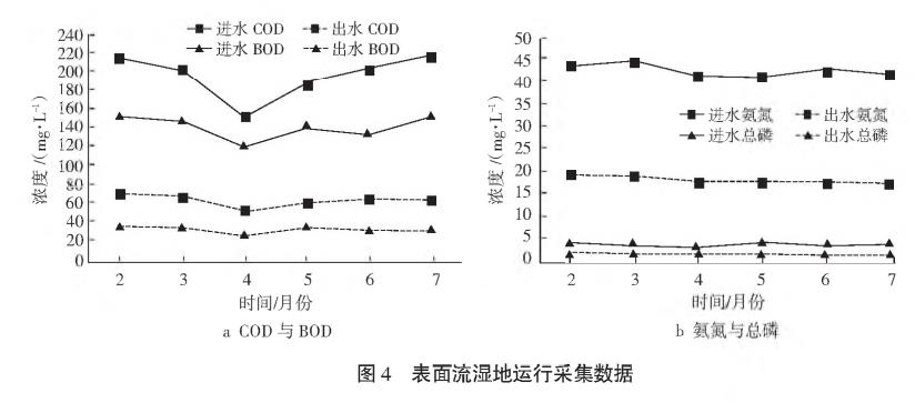 农村污水综合治理人工湿地技术