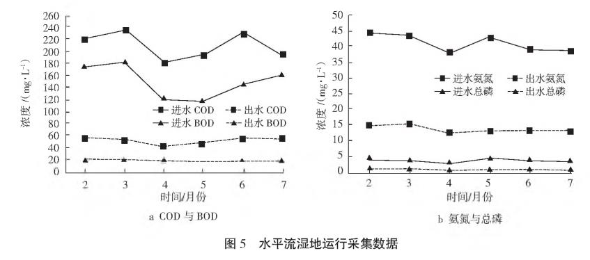 农村污水综合治理人工湿地技术