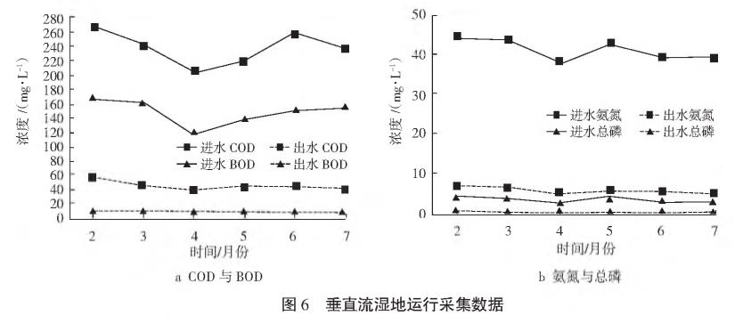 农村污水综合治理人工湿地技术